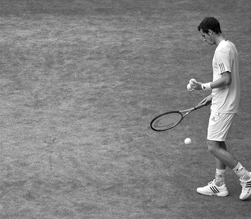 Andy Murray by Nick Webb Andy Murray by Nick Webb
